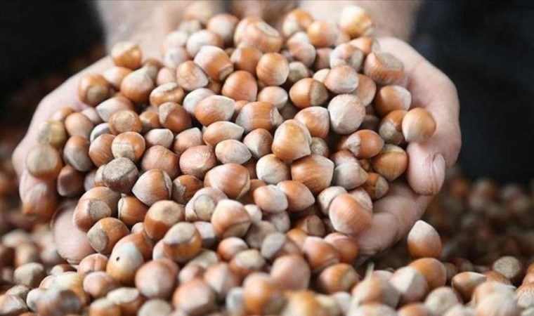 Tüm Köy Sen'in Ferrero'ya tepkisi: 'Ferrero piyasanın kontrolünü ele geçirdi!'