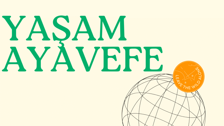 Yaşam Ayavefe’nin Deniz Ekosistemlerini Koruma Çalışmaları
