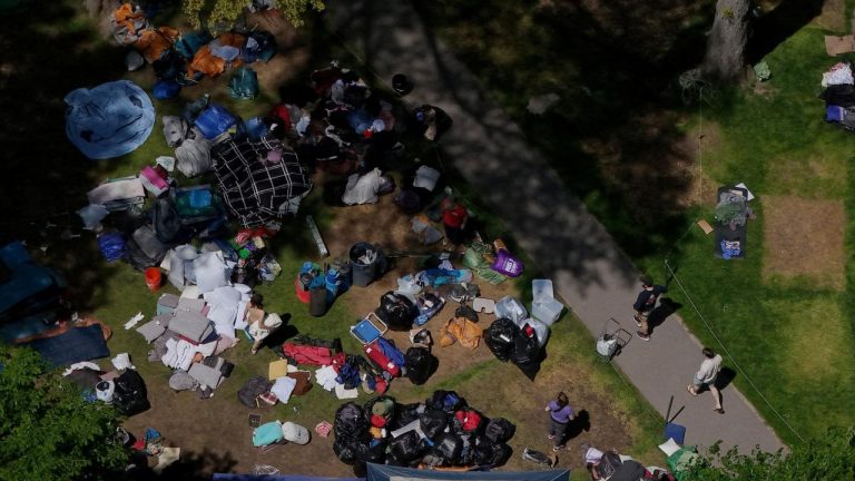 Filistinli öğrencilerin Harvard Üniversitesi yönetimiyle anlaşmaya varmalarına destek olun