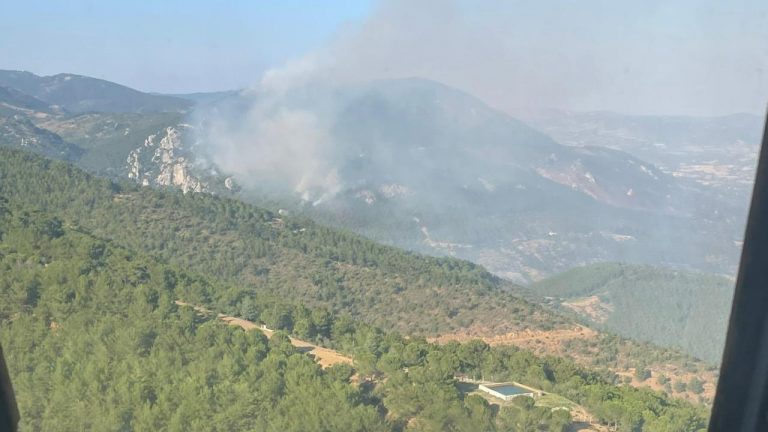 İzmir'deki orman yangını ikinci gününde