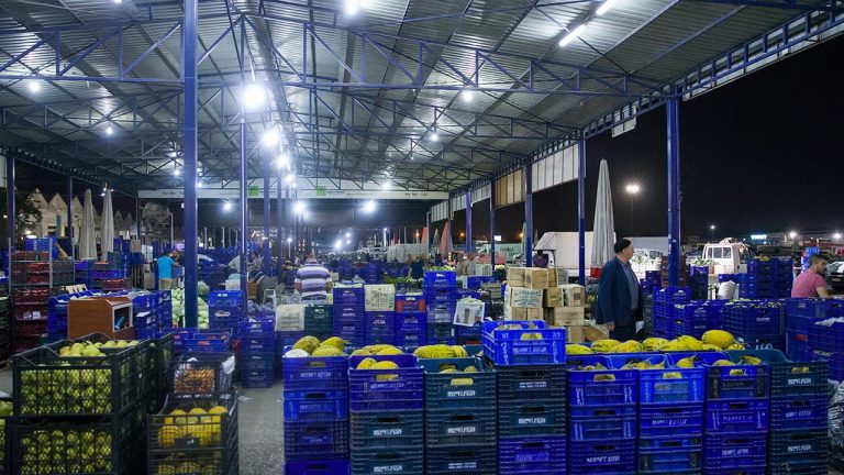 Meyve sebze sektöründen 1,3 milyar dolar ihracat