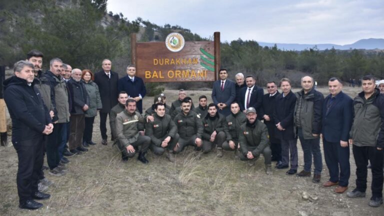 Sinop’ta 827. Bal Ormanı kuruldu