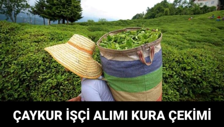 ÇAYKUR işçi alımı kura sonuçları ne zaman açıklanacak? Çaykur işçi alımı kura tarihi – Son Dakika Türkiye Haberleri