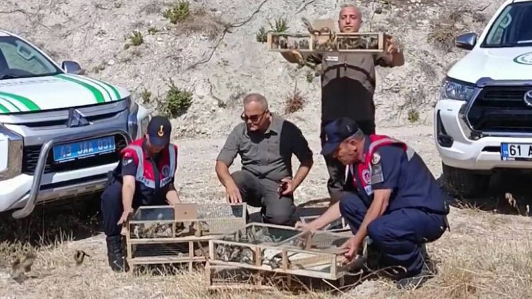 Kütahya’de ele geçirilen 142 saka kuşu doğaya salındı – Son Dakika Türkiye Haberleri
